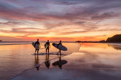 Three men at dusk walk away from the camera on a Costa Rican beach, carrying surf boards